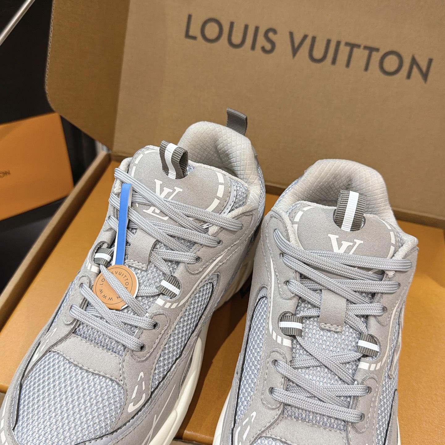 Louis Vuitton Sneakers