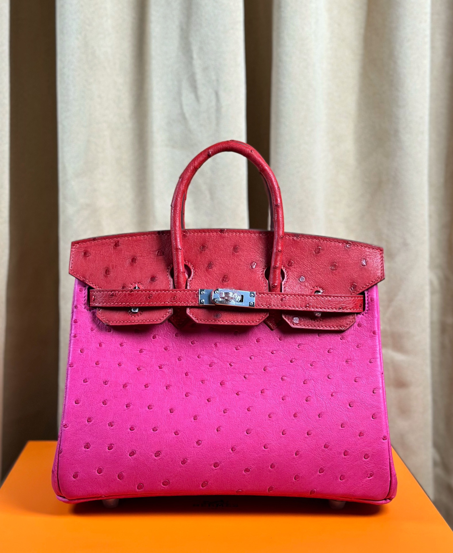 Hermes Birkin Borse Borsette Hardware argento Cuoio di struzzo 1 Hermes Birkin Borse Borsette Hardware argento Cuoio di struzzo
