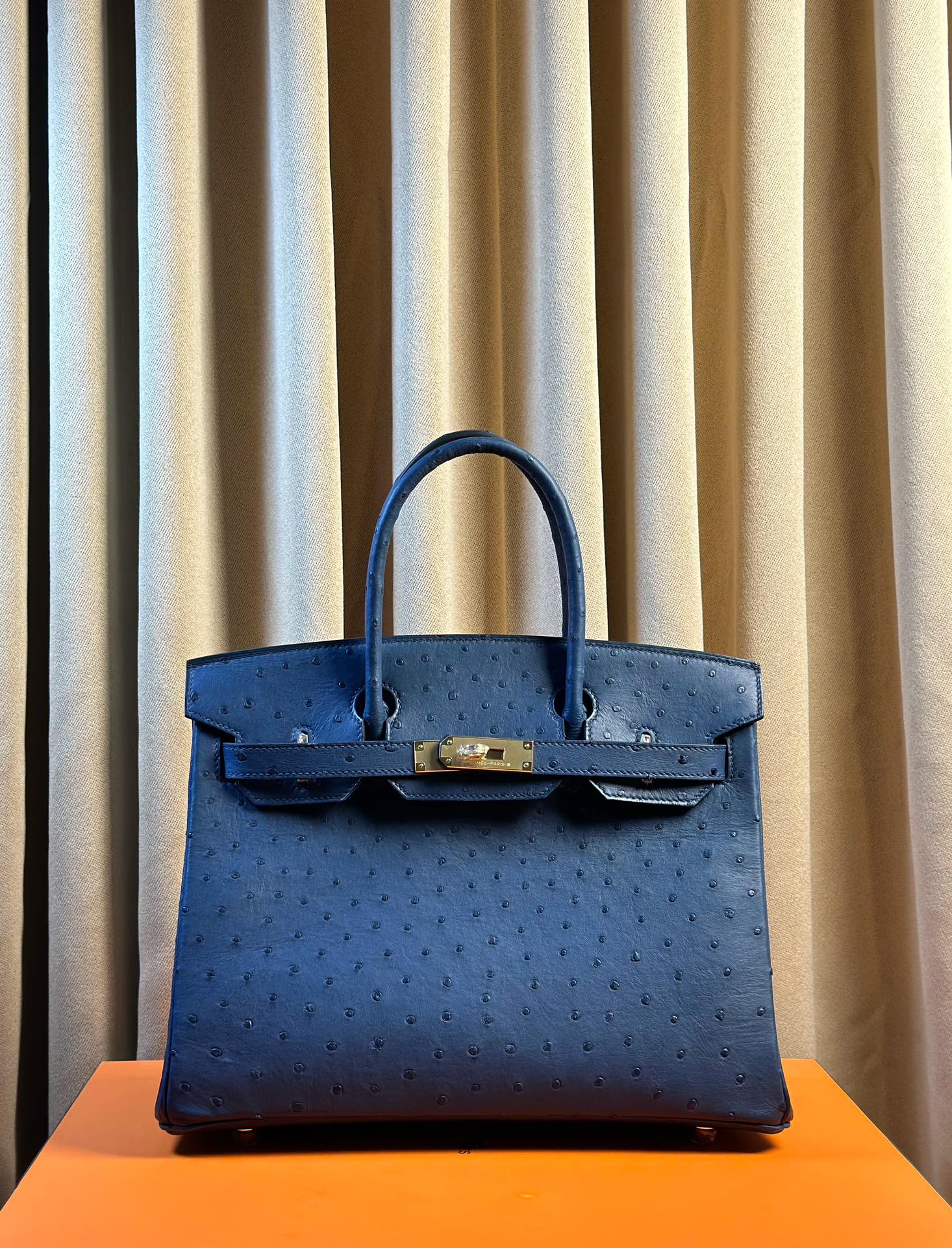 Hermes Birkin Borse Borsette Blu Hardware oro Cuoio di struzzo