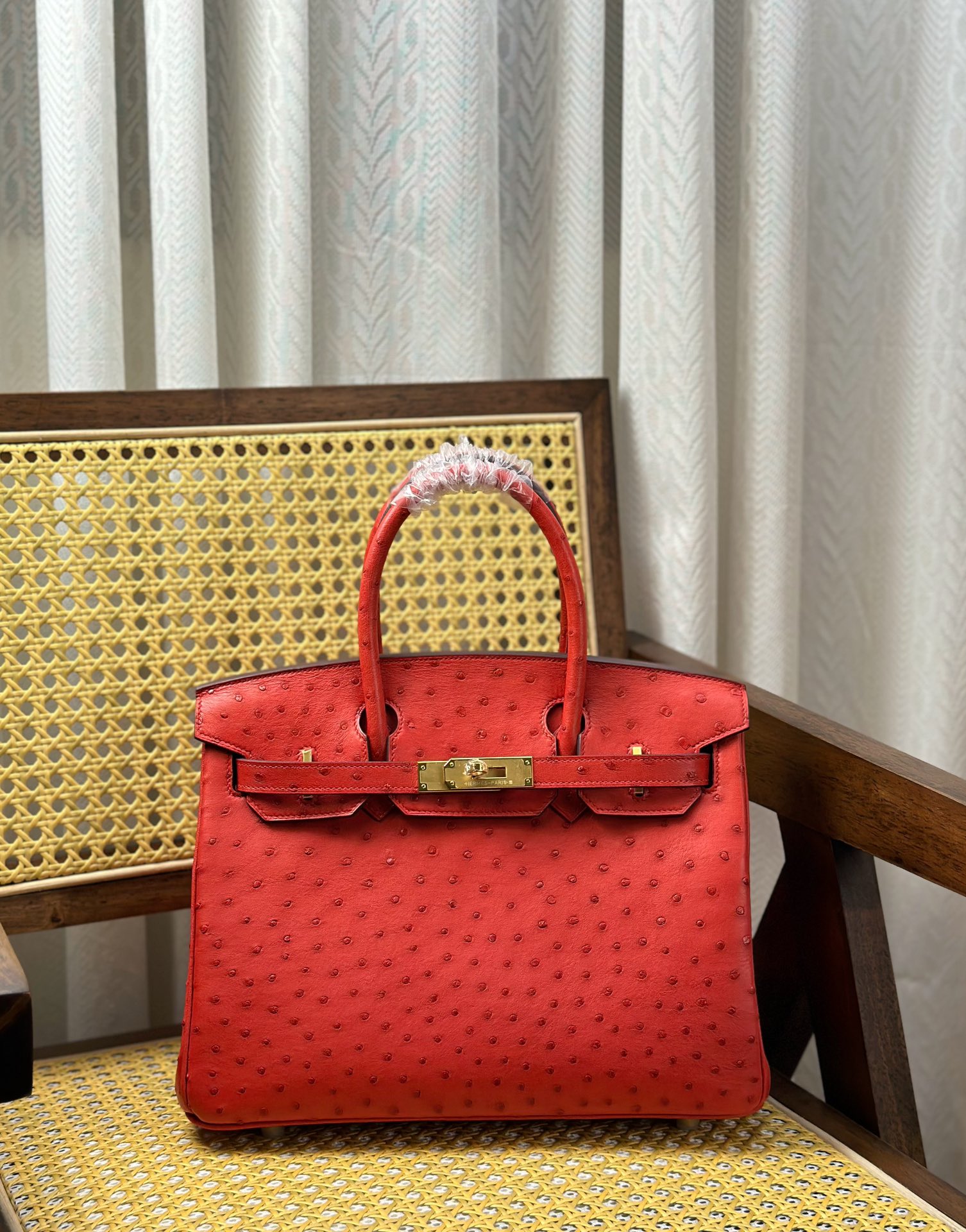 Hermes Birkin Moda
 Borse Borsette Rosso Hardware oro Cuoio di struzzo