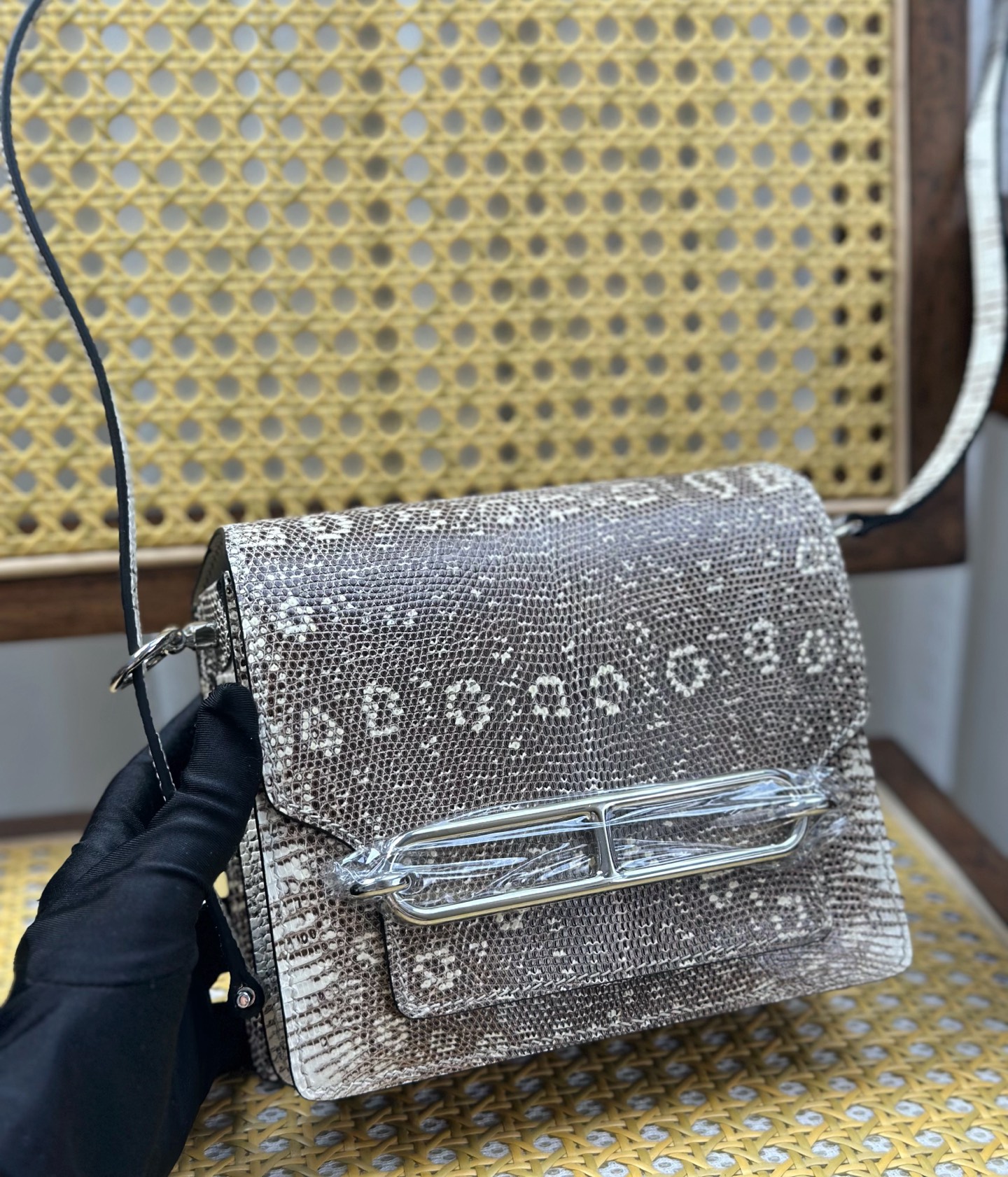 Hermès Hermes Roulis /18cm pig nose snowflake lizard skin