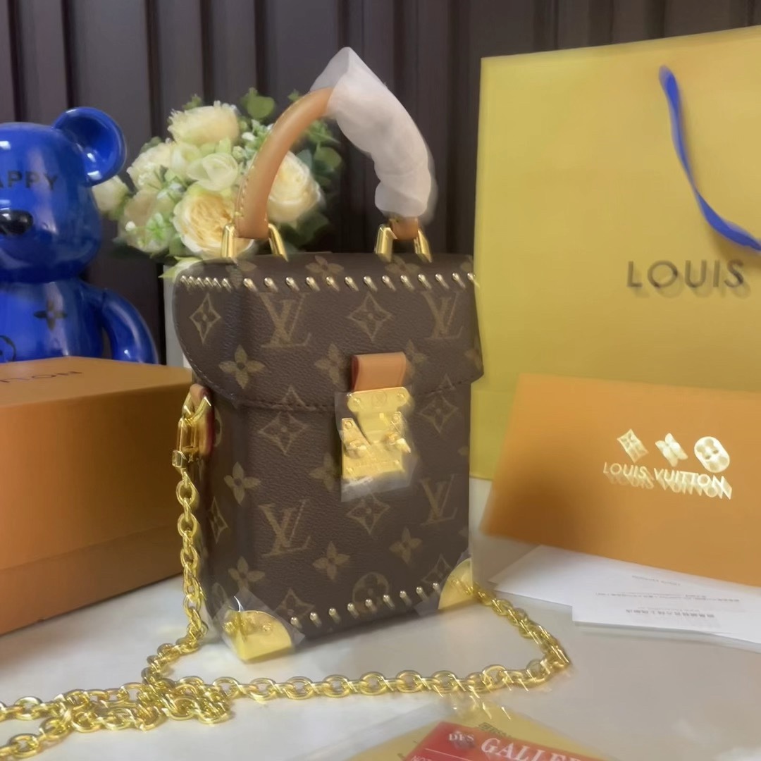 Louis Vuitton Camera Bags