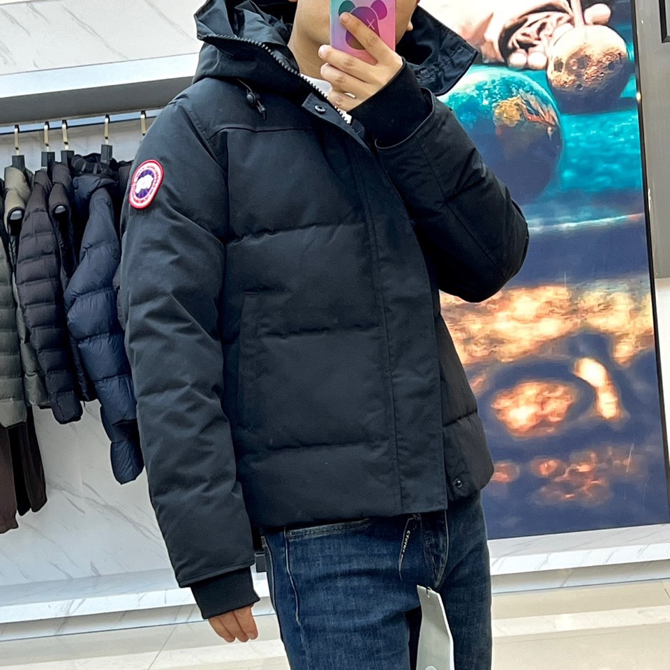 [Premium Men