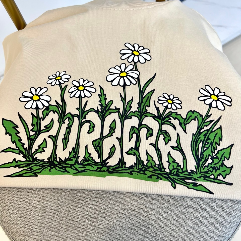 
巴宝莉、2025春夏全新系列单品上线，非常时髦前卫的一款男短袖T恤，三标齐全、醒目的logo图案修饰！