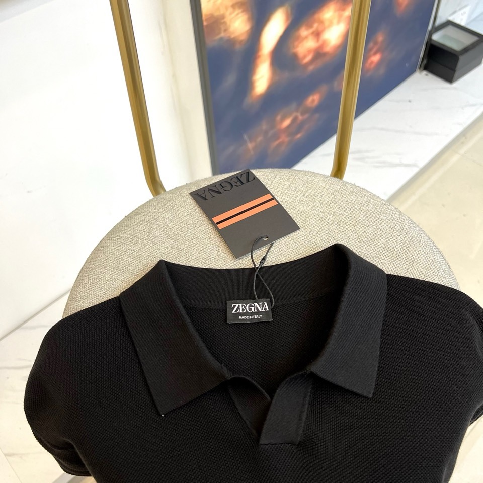Zegna杰尼亚、2025秋冬新款简约商务休闲无扣翻领长袖男士针织POLO衫。海鸥领的设计理念打破传统固