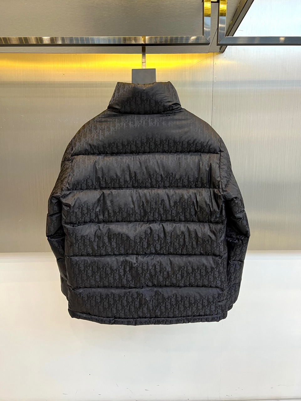 Dio迪奥（白鹅绒）、2025秋冬新品羽绒服。款式采用挺括的立领设计与流畅的拉链闭合，轮廓线条利落大气。