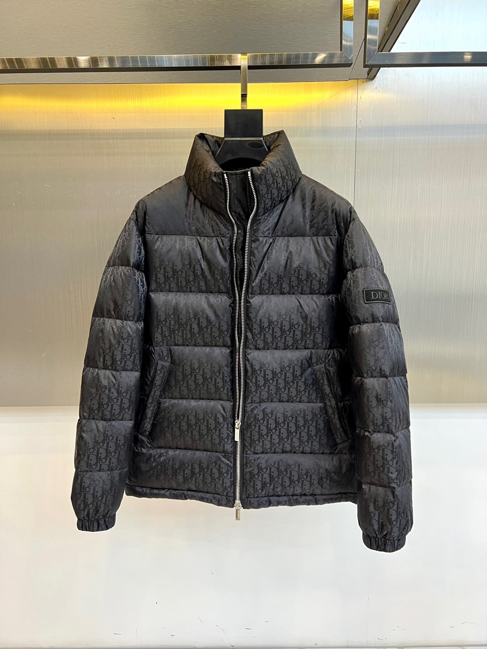 Dio迪奥（白鹅绒）、2025秋冬新品羽绒服。款式采用挺括的立领设计与流畅的拉链闭合，轮廓线条利落大气。