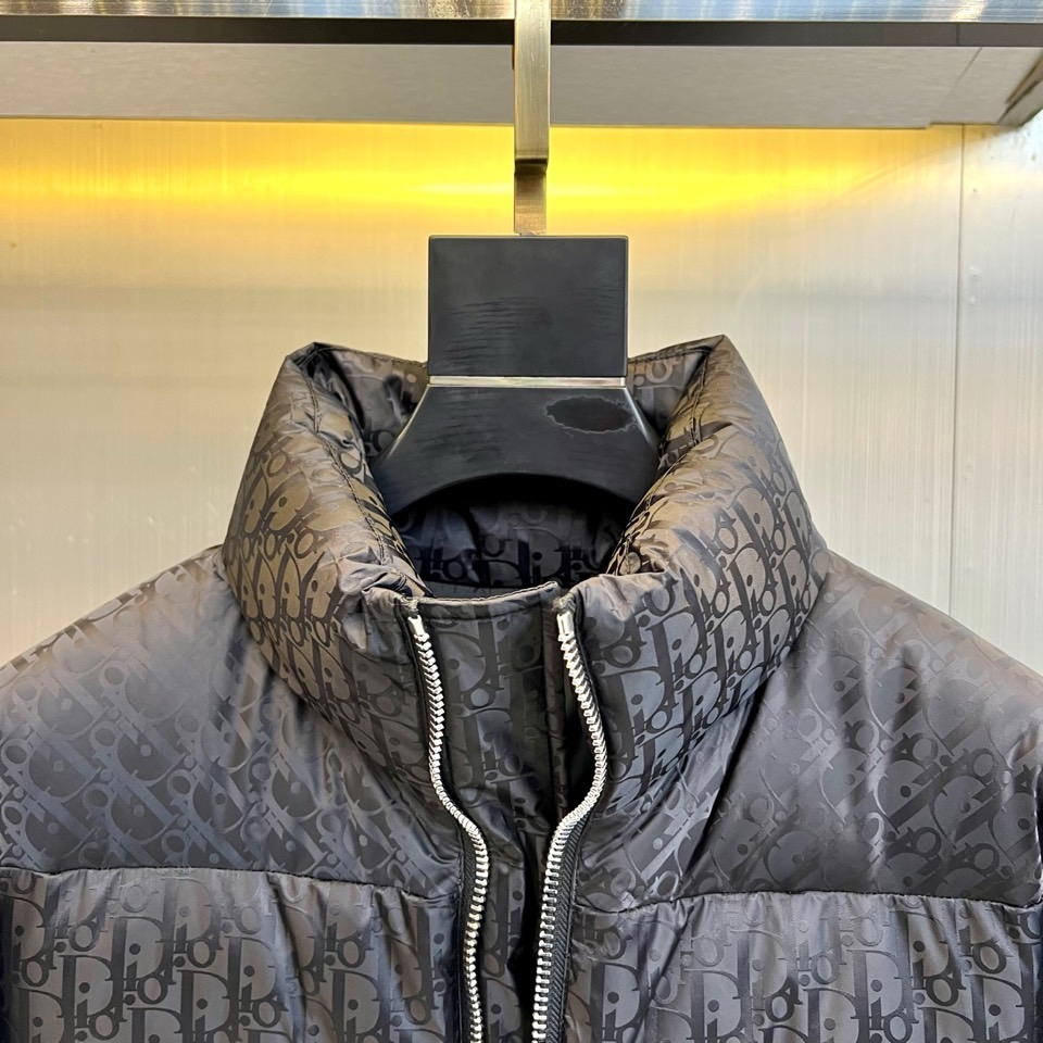 Dio迪奥（白鹅绒）、2025秋冬新品羽绒服。款式采用挺括的立领设计与流畅的拉链闭合，轮廓线条利落大气。