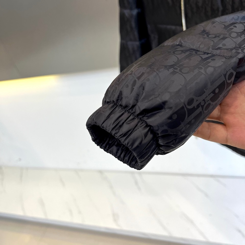 Dio迪奥（白鹅绒）、2025秋冬新品羽绒服。款式采用挺括的立领设计与流畅的拉链闭合，轮廓线条利落大气。