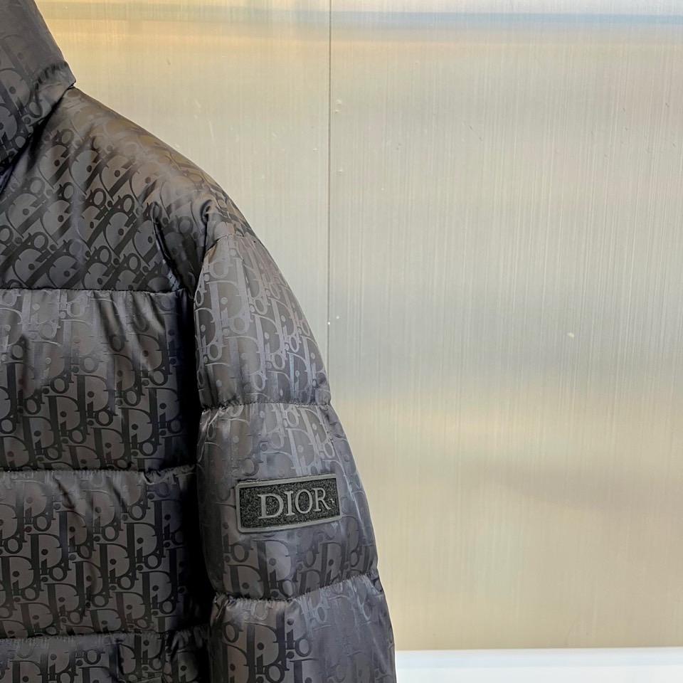 Dio迪奥（白鹅绒）、2025秋冬新品羽绒服。款式采用挺括的立领设计与流畅的拉链闭合，轮廓线条利落大气。