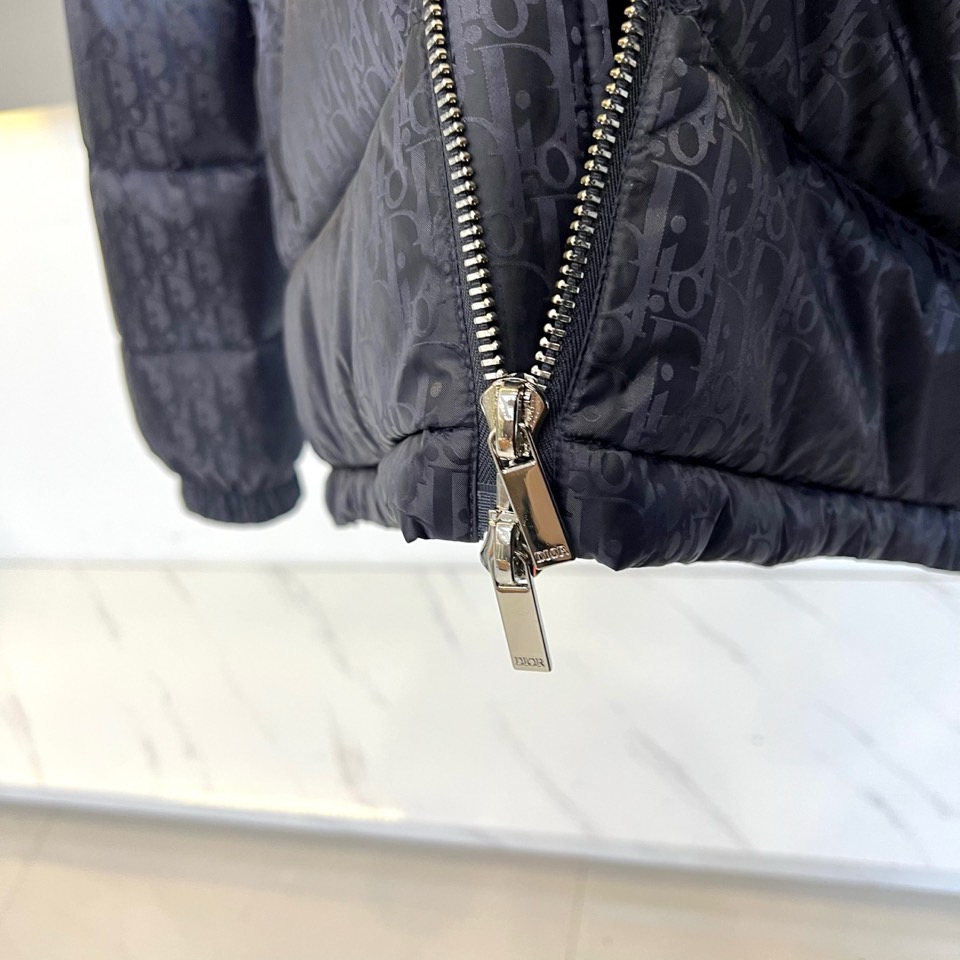 Dio迪奥（白鹅绒）、2025秋冬新品羽绒服。款式采用挺括的立领设计与流畅的拉链闭合，轮廓线条利落大气。