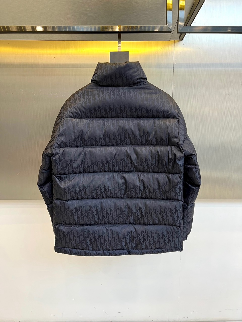 Dio迪奥（白鹅绒）、2025秋冬新品羽绒服。款式采用挺括的立领设计与流畅的拉链闭合，轮廓线条利落大气。