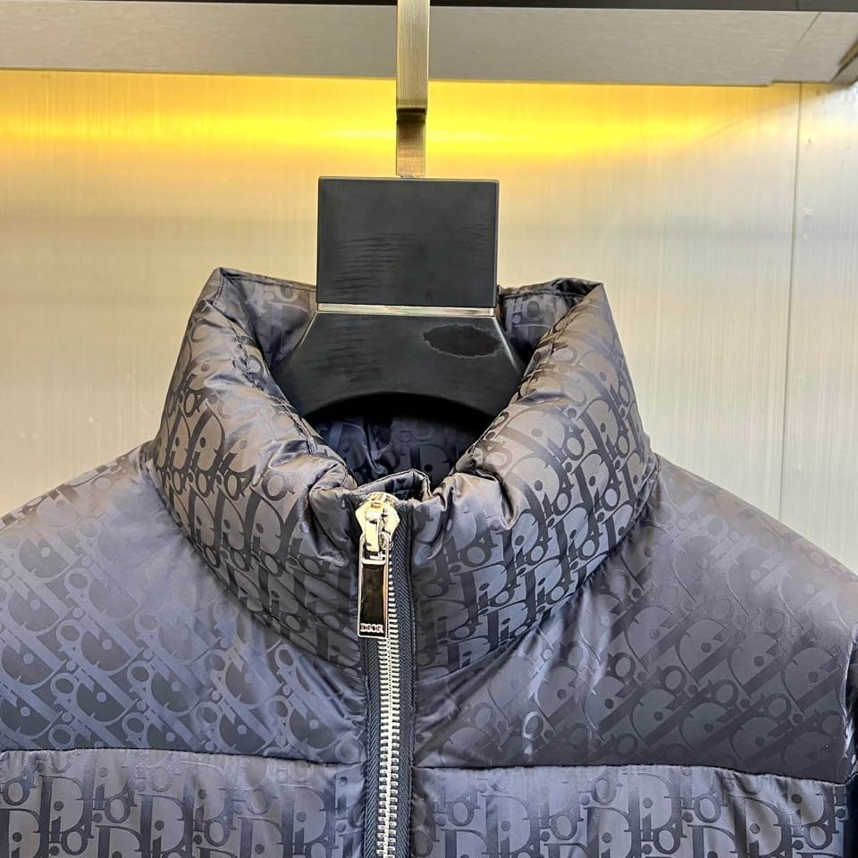 Dio迪奥（白鹅绒）、2025秋冬新品羽绒服。款式采用挺括的立领设计与流畅的拉链闭合，轮廓线条利落大气。