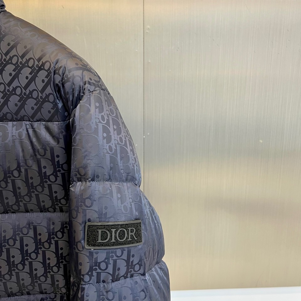Dio迪奥（白鹅绒）、2025秋冬新品羽绒服。款式采用挺括的立领设计与流畅的拉链闭合，轮廓线条利落大气。