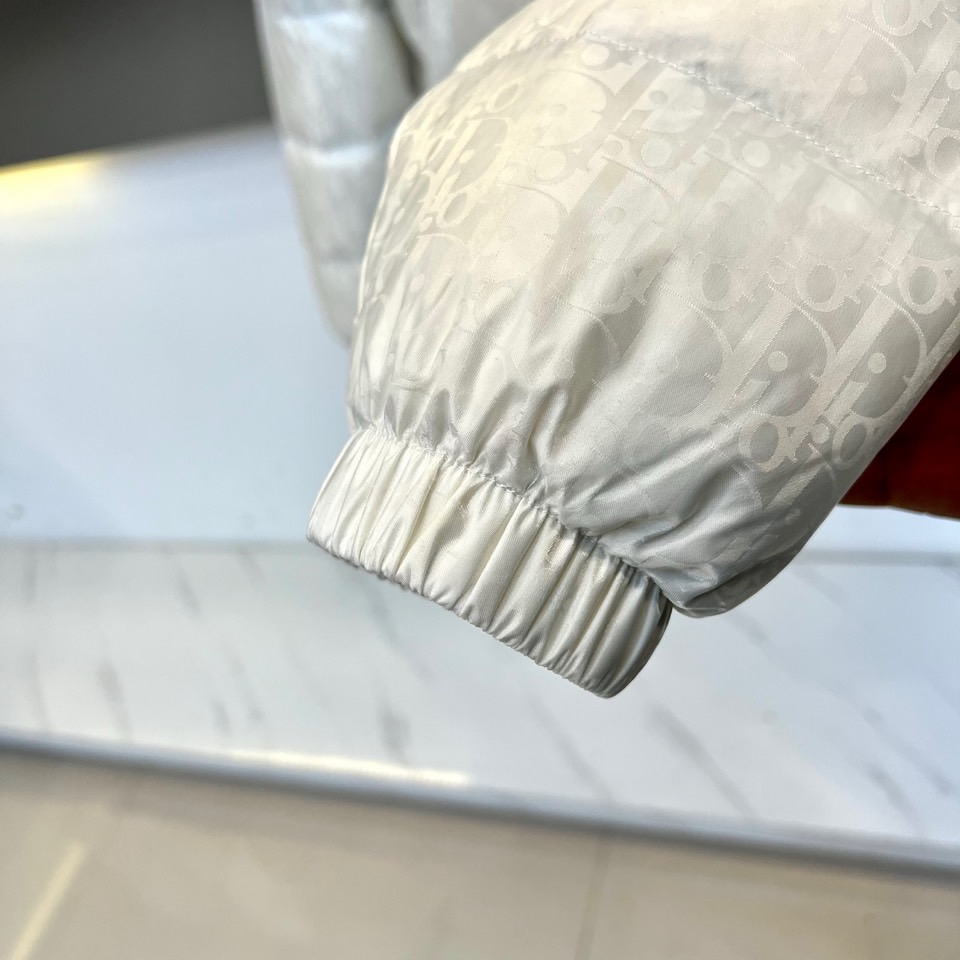 Dio迪奥（白鹅绒）、2025秋冬新品羽绒服。款式采用挺括的立领设计与流畅的拉链闭合，轮廓线条利落大气。