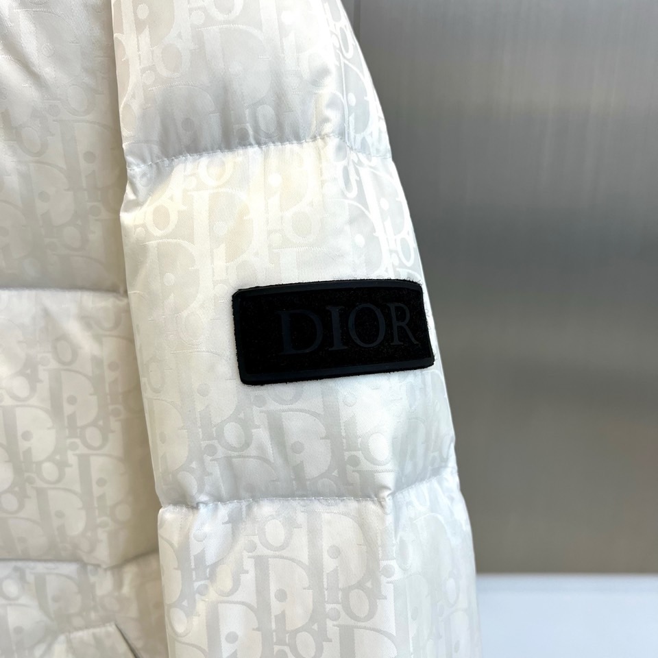 Dio迪奥（白鹅绒）、2025秋冬新品羽绒服。款式采用挺括的立领设计与流畅的拉链闭合，轮廓线条利落大气。