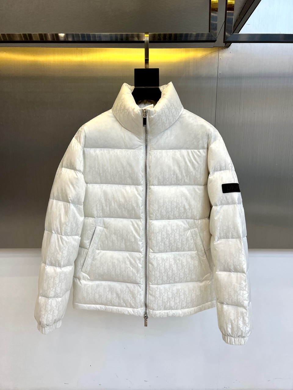 Dio迪奥（白鹅绒）、2025秋冬新品羽绒服。款式采用挺括的立领设计与流畅的拉链闭合，轮廓线条利落大气。