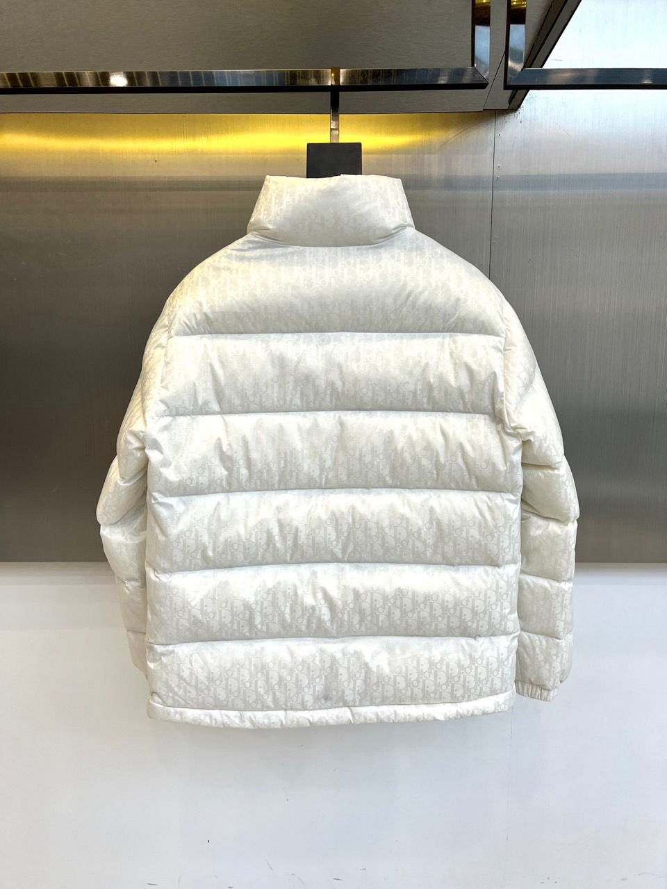 Dio迪奥（白鹅绒）、2025秋冬新品羽绒服。款式采用挺括的立领设计与流畅的拉链闭合，轮廓线条利落大气。