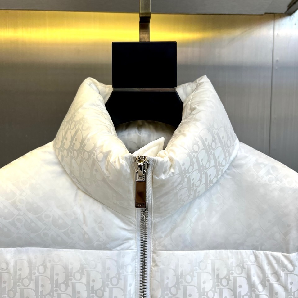 Dio迪奥（白鹅绒）、2025秋冬新品羽绒服。款式采用挺括的立领设计与流畅的拉链闭合，轮廓线条利落大气。