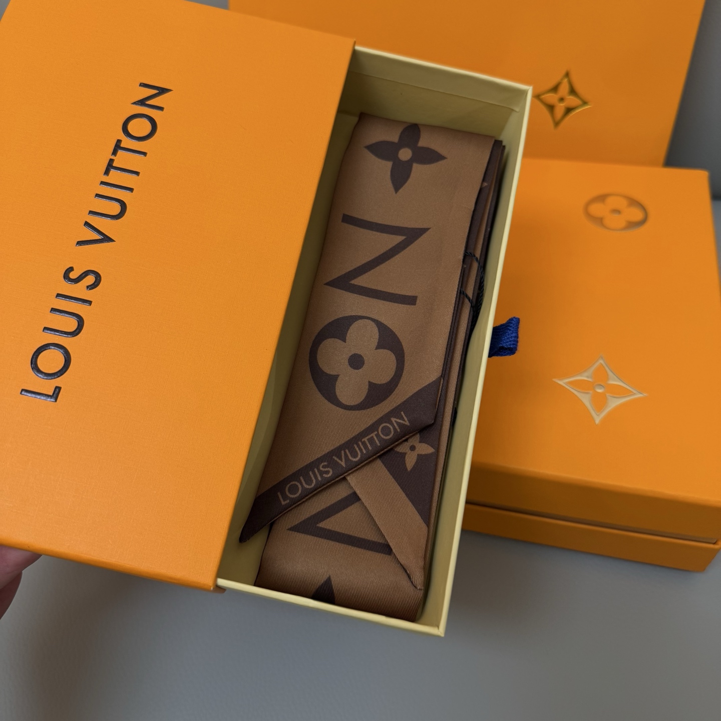 Luxury LV Silk Scarf with Twilight Design and Matching Accessories - 图片 5