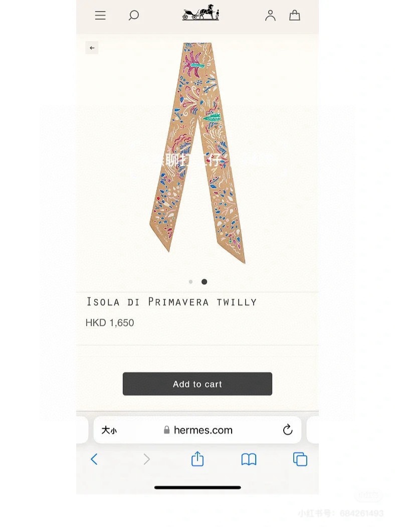 Hermes Scarf HermesHermes “ ”Twilly