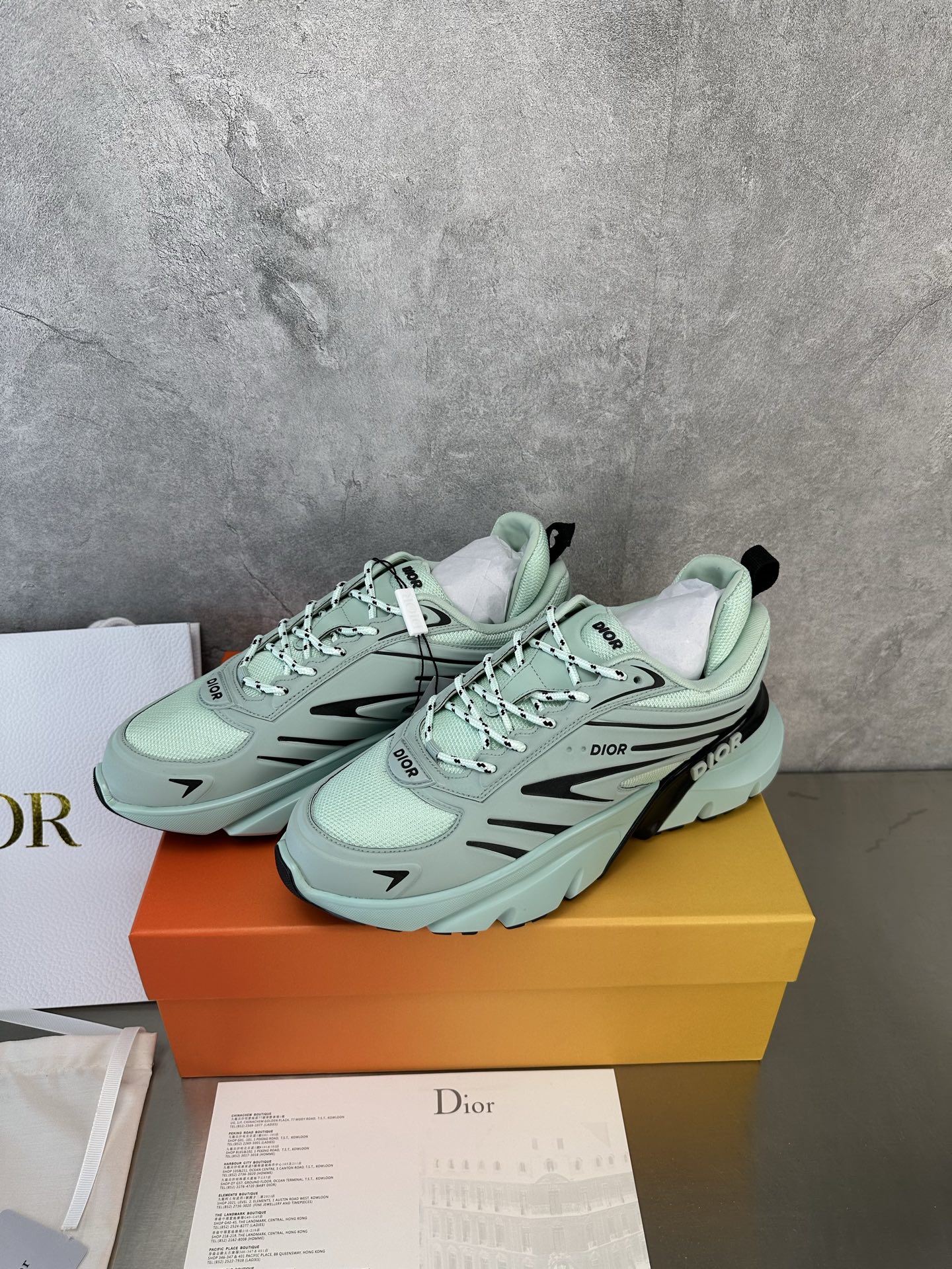 Dior B44 Blade Sneakers: Couple Style, Inspired by Lewis Hamilton 6 i1740152318646 8616 0 2