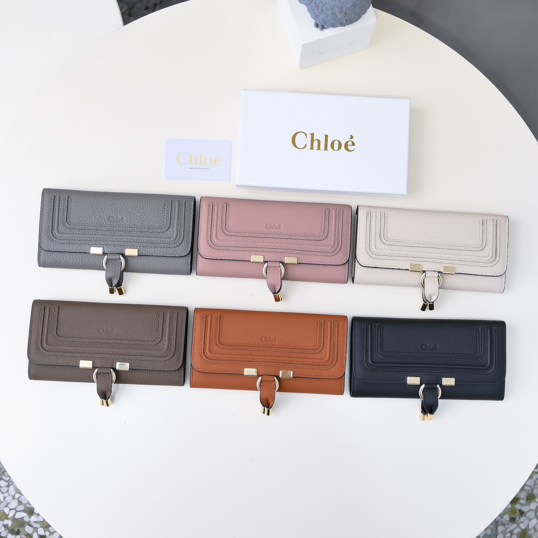 “Chloe Marcie Purse: Retro-Gold Style, High Quality, Size 19*10, 2501” - 图片 1