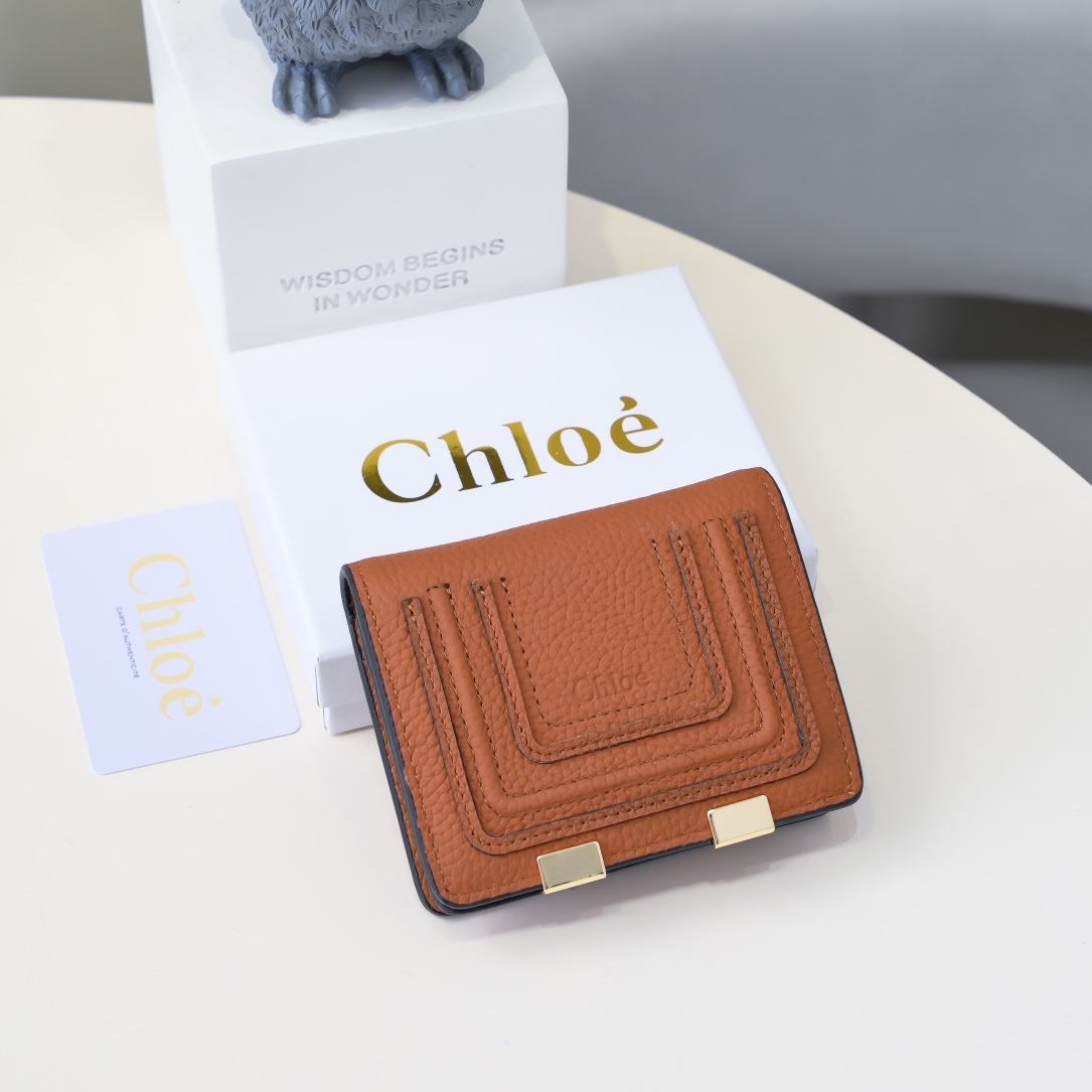 Chloe Marcie’s Retro-Gold Purse: High-Quality, Detailed Design, Size 10.8*8.5, Section 2504. - 图片 3
