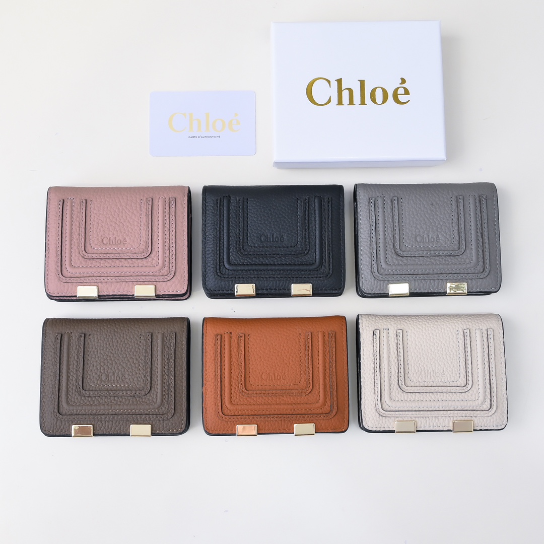 Chloe Marcie’s Retro-Gold Purse: High-Quality, Detailed Design, Size 10.8*8.5, Section 2504.