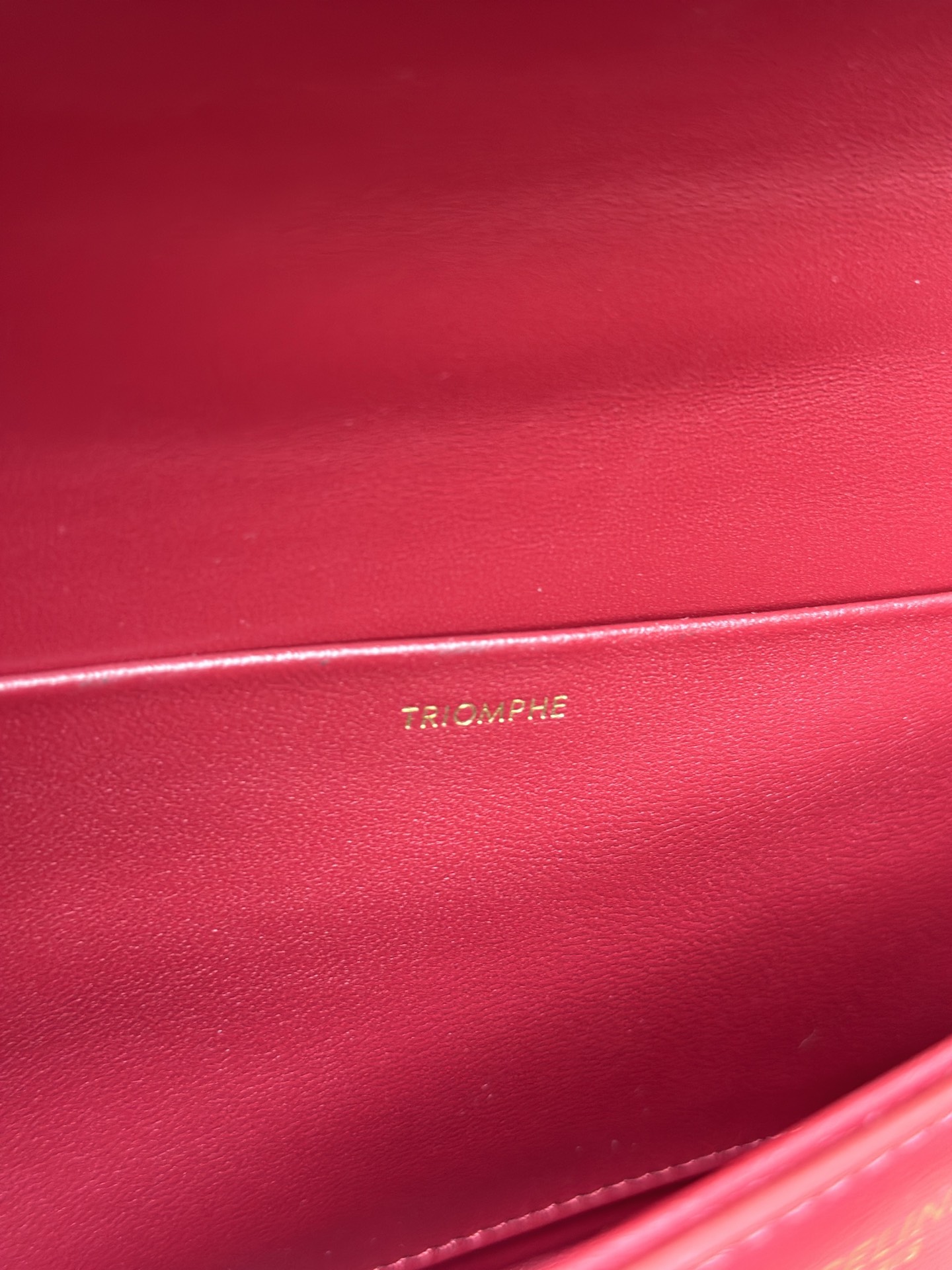 【全钢五金】链条⛓️腋下包 TRIOMPHE CANVAS细节图编号：