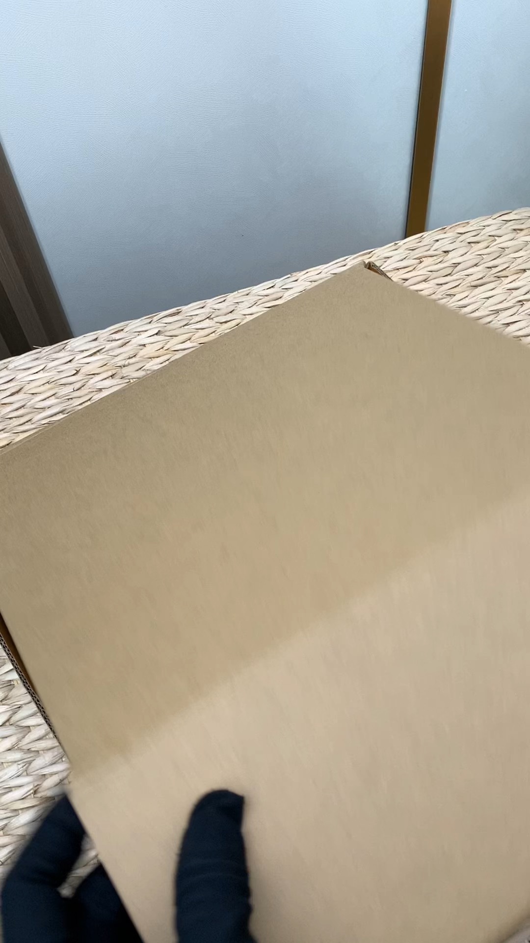 Louis Vuitton Real shots of delivery