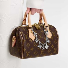 LV钥匙扣 圣诞款包饰 包包挂件包链金色&银色 SPring Street Chain 包饰将 Monogram 花卉和 LV钥匙扣 圣诞款包饰 包包挂件包链金色&银色 SPring Street Chain 包饰将 Monogram 花卉和