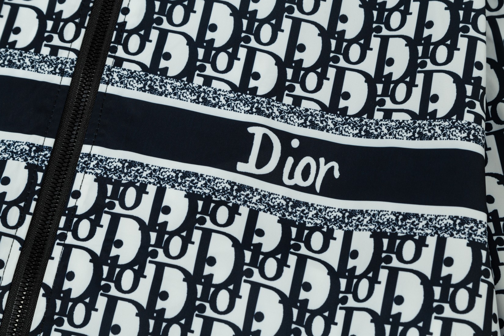 Dior Early Autumn 2024 Hooded Windbreaker Jacket - Comprehensive 6