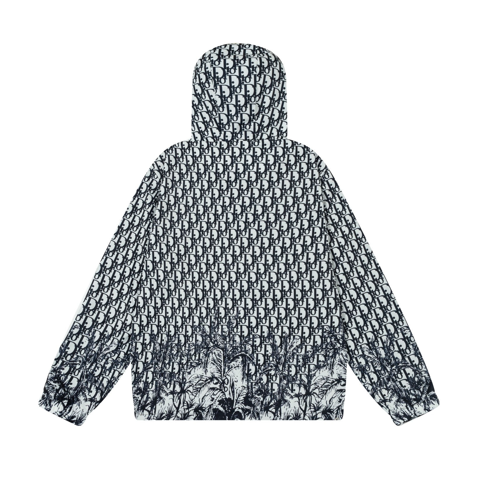 Dior Early Autumn 2024 Hooded Windbreaker Jacket - Comprehensive 2