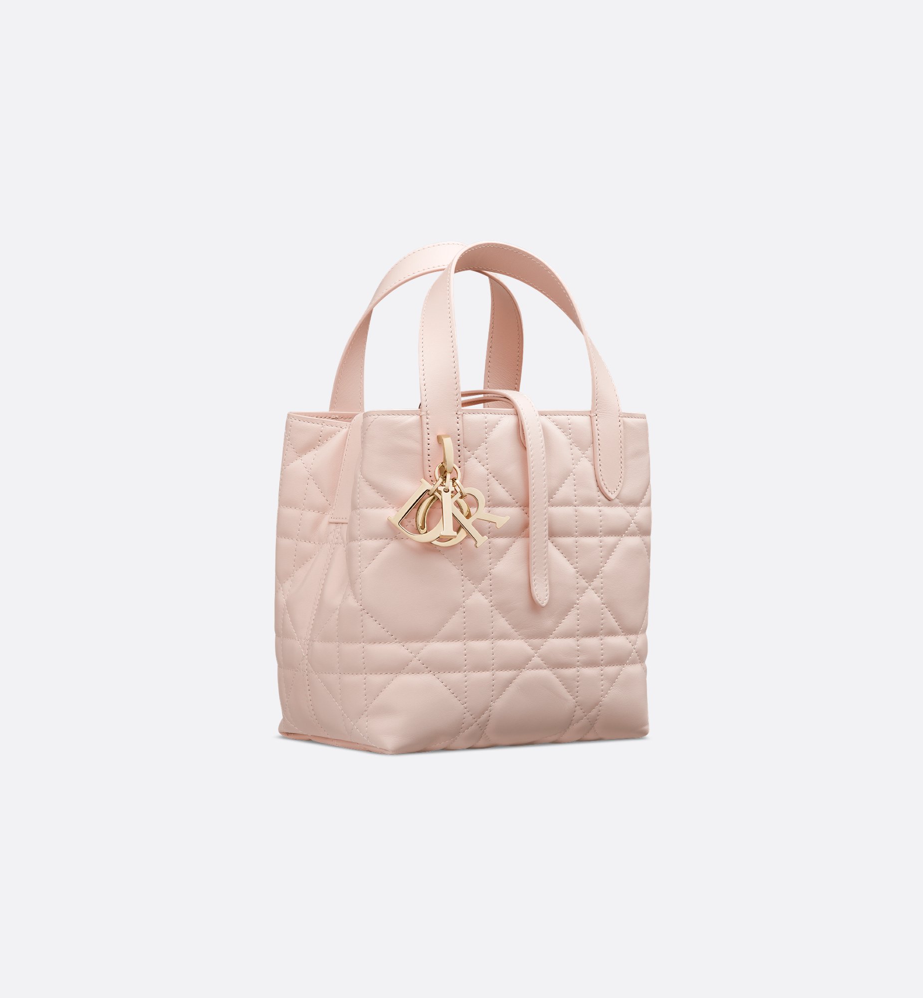 𝑫-𝑻𝒐𝒖𝒋𝒐𝒖𝒓𝒔 polvo colorete pequeño versión vertical