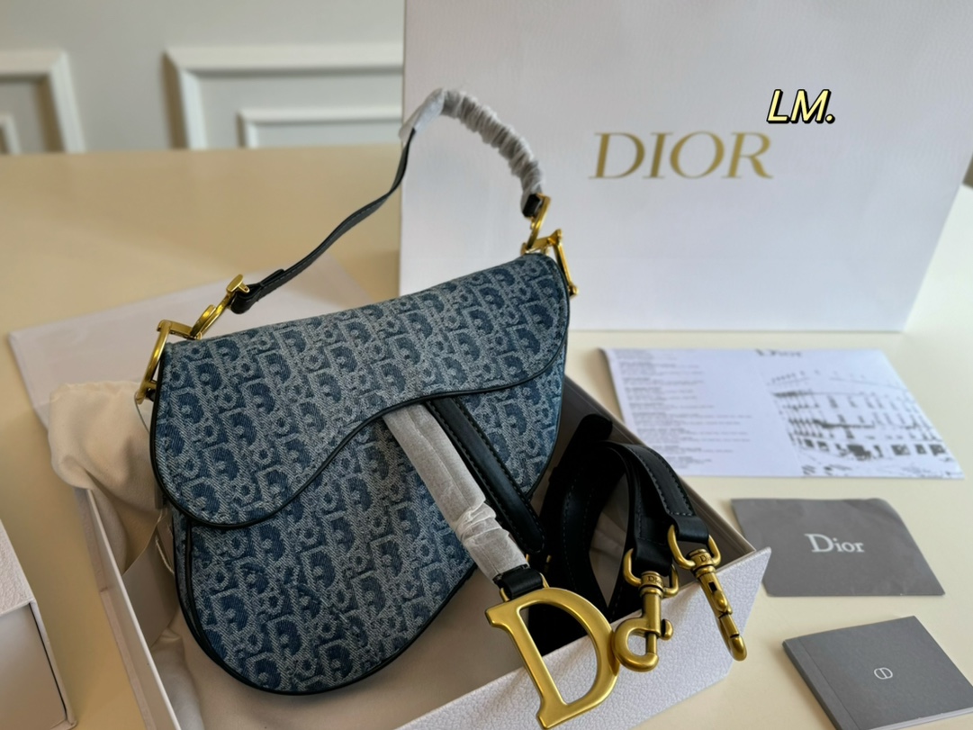 Dior Taschen Satteltaschen