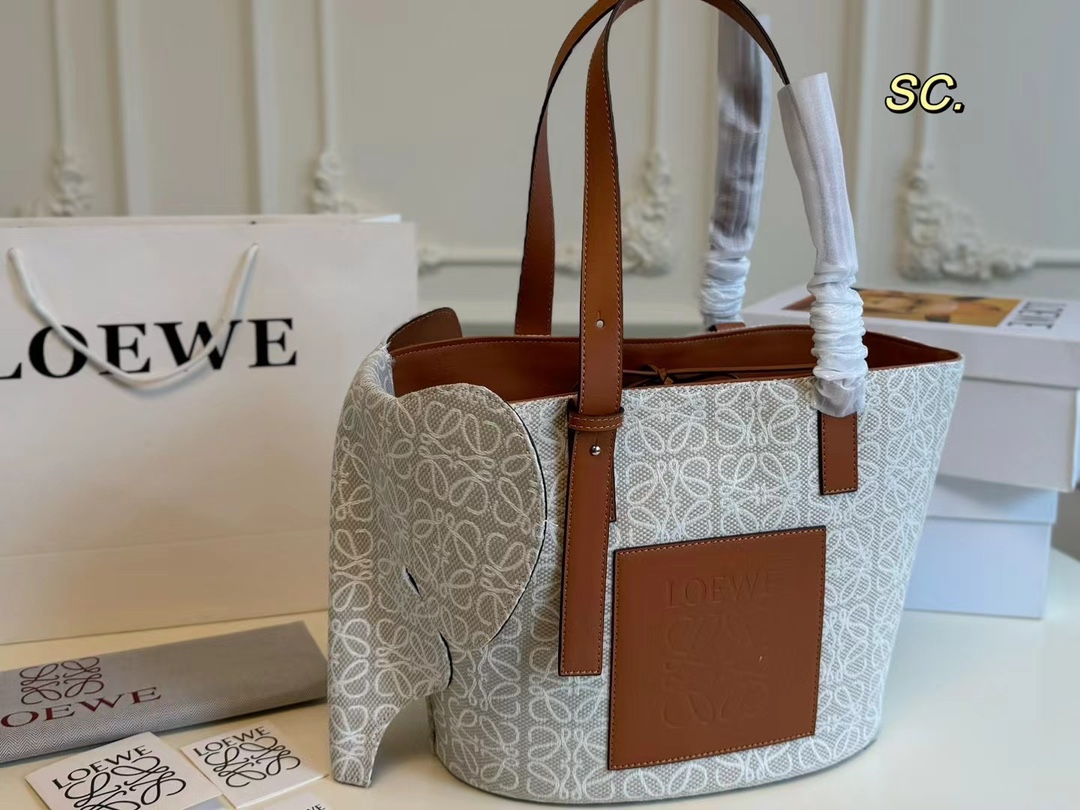 Loewe Sacs Cabas Toile