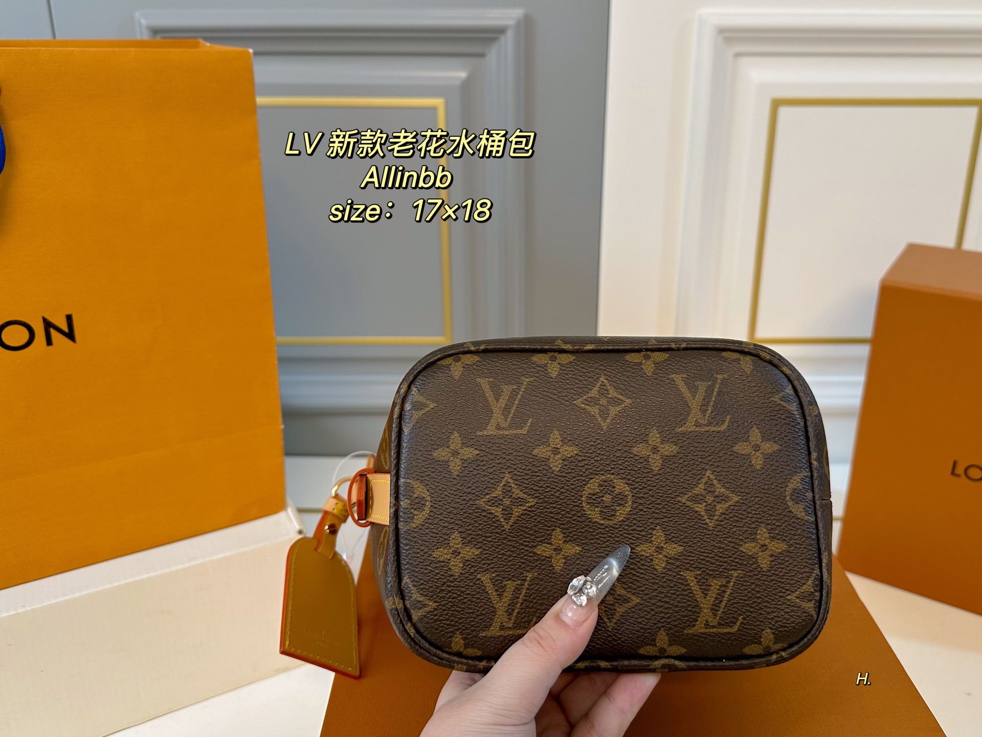 Louis Vuitton Allinbb Monogram Bucket Bag - Compact & Chic 6 i1740979644560 7006 0 4