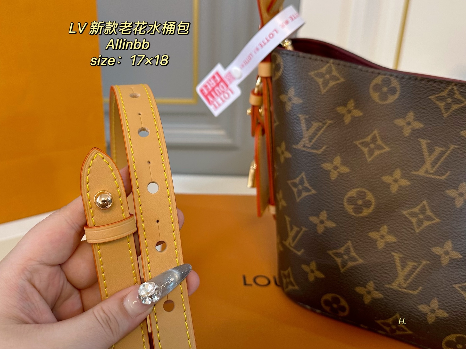 Louis Vuitton Allinbb Monogram Bucket Bag - Compact & Chic 7 i1740979645553 6353 0 5