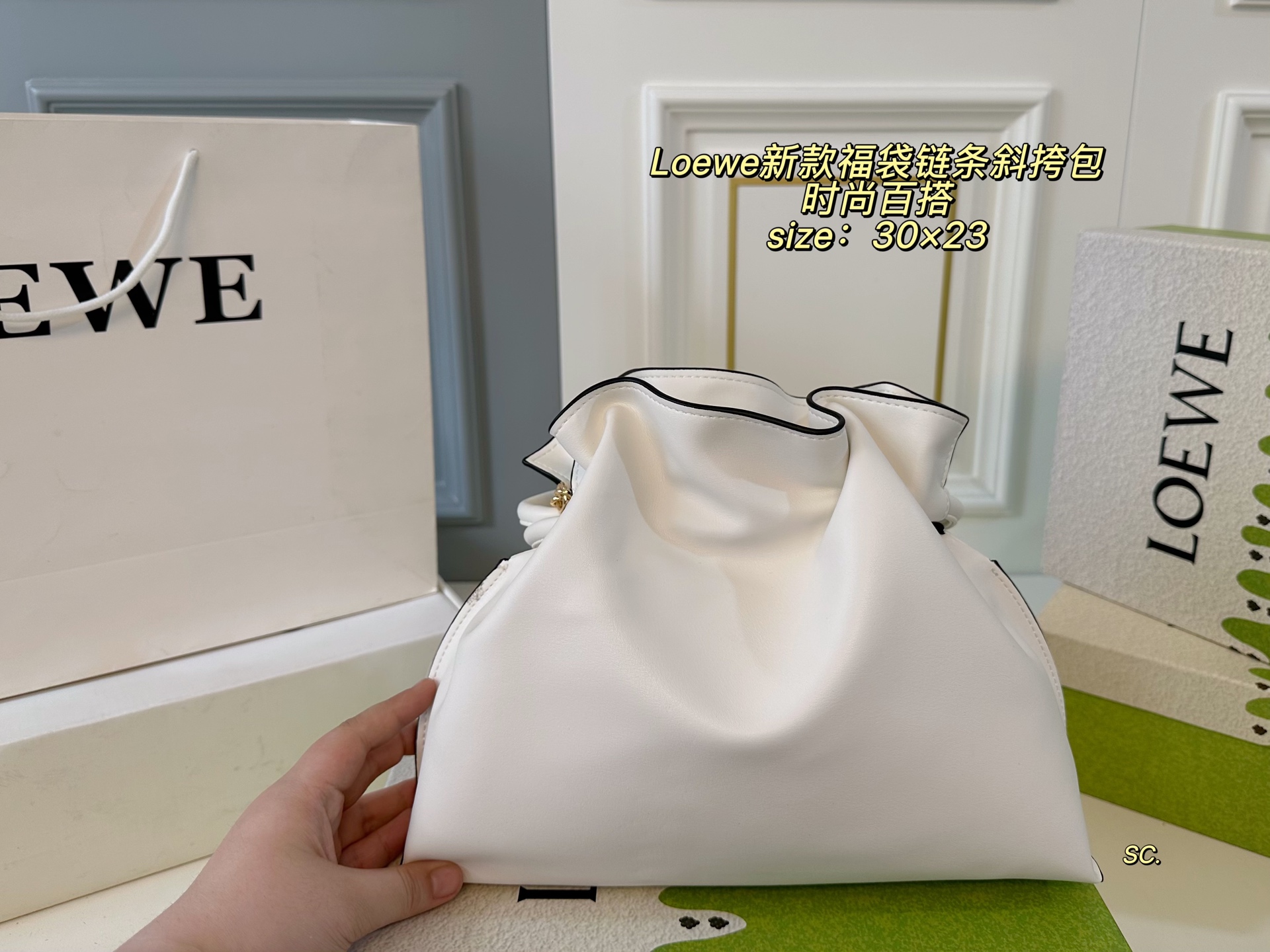 Loewe Fortune Cookie Chain Crossbody Bag, Trendy and Versatile 9 i1751083419637 9262 0 7