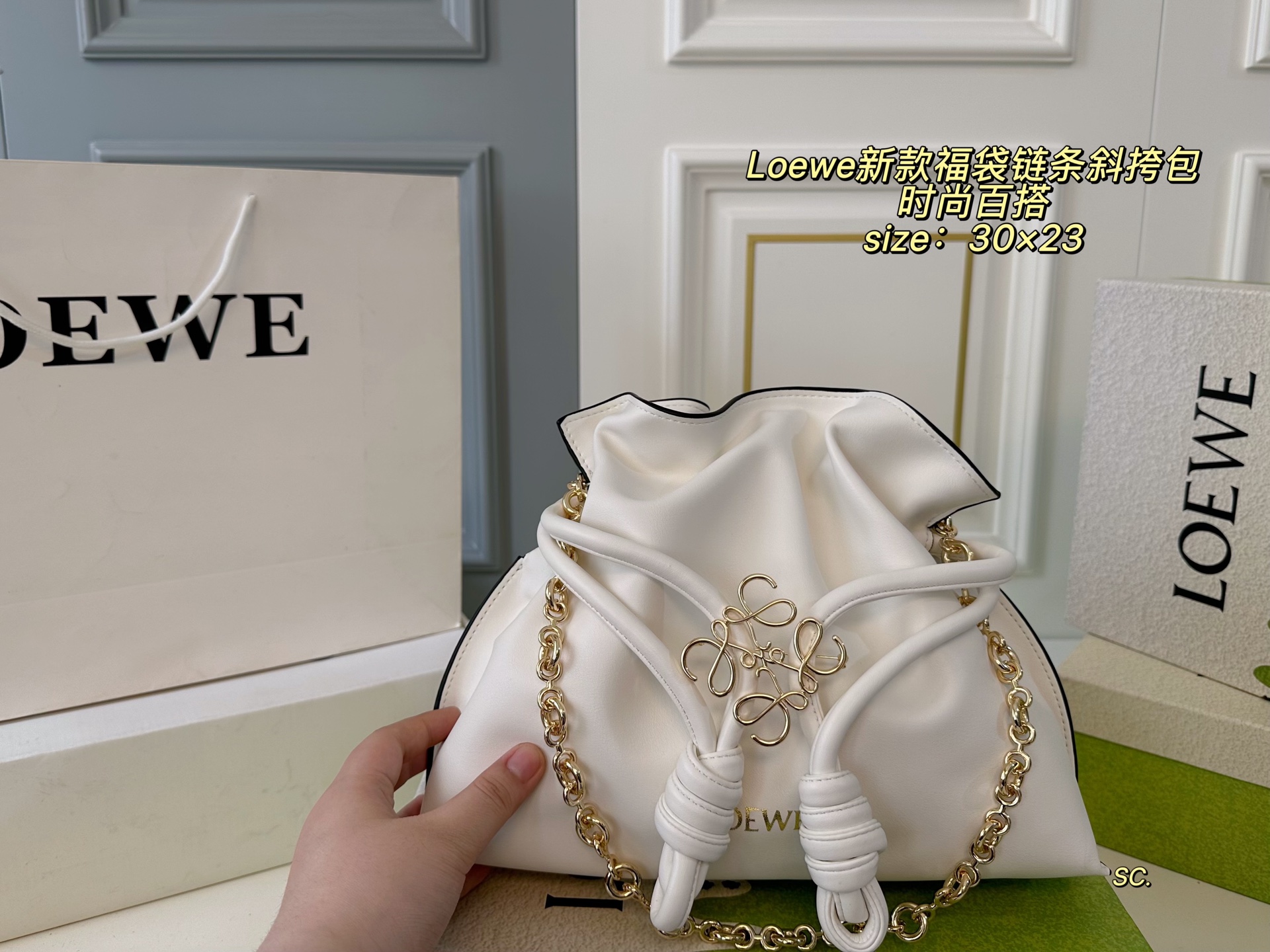 Loewe Fortune Cookie Chain Crossbody Bag, Trendy and Versatile 3 i1751083431863 6118 0 1
