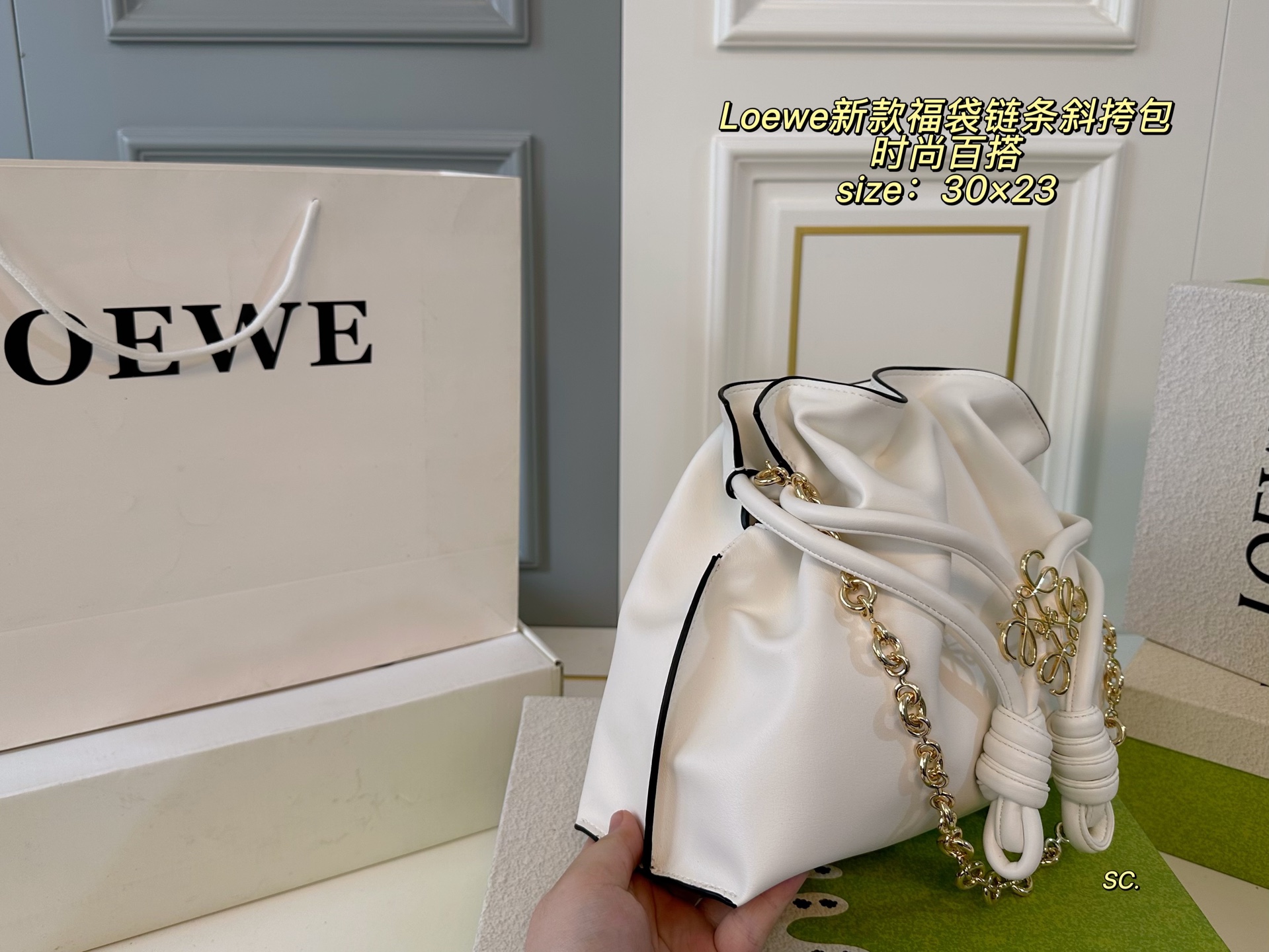 Loewe Fortune Cookie Chain Crossbody Bag, Trendy and Versatile 4 i1751083431867 1706 0 2