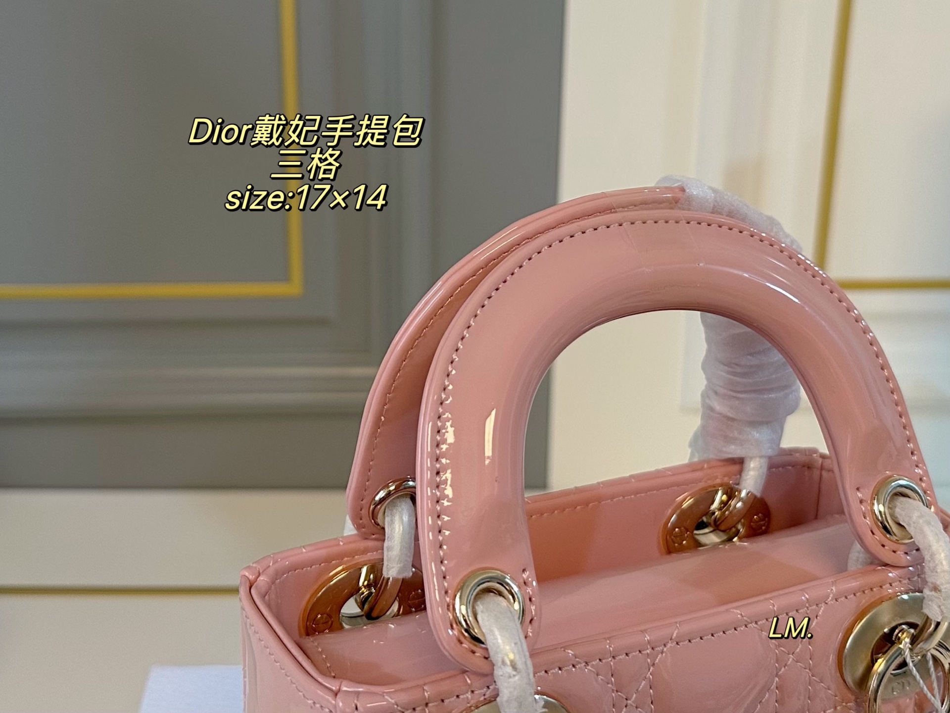 P195 三格（折叠盒）升级款

size：17×14
Lady Dior 迪奥戴妃漆皮手提包💕
以藤格纹缉面线打造醒目的绗缝细节，
时髦典雅的设计经久不衰！
斜挎帅气大方，手提精致优雅！
自带氛围感，时尚百搭yyds🖤