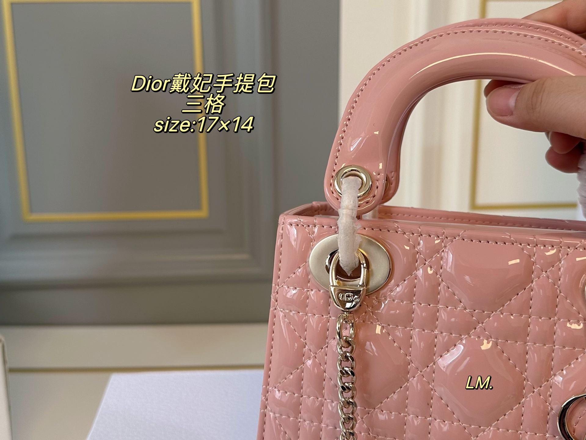 P195 三格（折叠盒）升级款

size：17×14
Lady Dior 迪奥戴妃漆皮手提包💕
以藤格纹缉面线打造醒目的绗缝细节，
时髦典雅的设计经久不衰！
斜挎帅气大方，手提精致优雅！
自带氛围感，时尚百搭yyds🖤