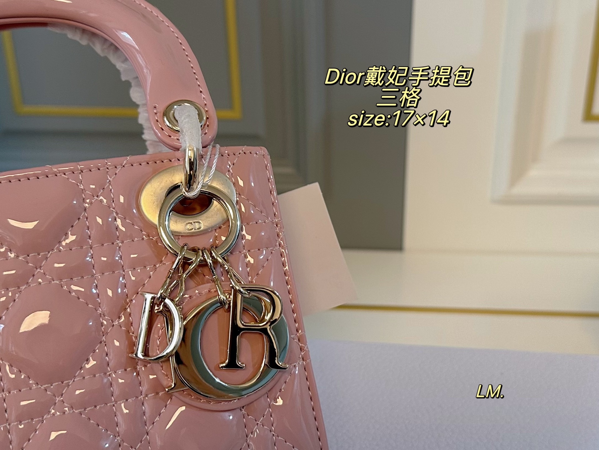 P195 三格（折叠盒）升级款

size：17×14
Lady Dior 迪奥戴妃漆皮手提包💕
以藤格纹缉面线打造醒目的绗缝细节，
时髦典雅的设计经久不衰！
斜挎帅气大方，手提精致优雅！
自带氛围感，时尚百搭yyds🖤
