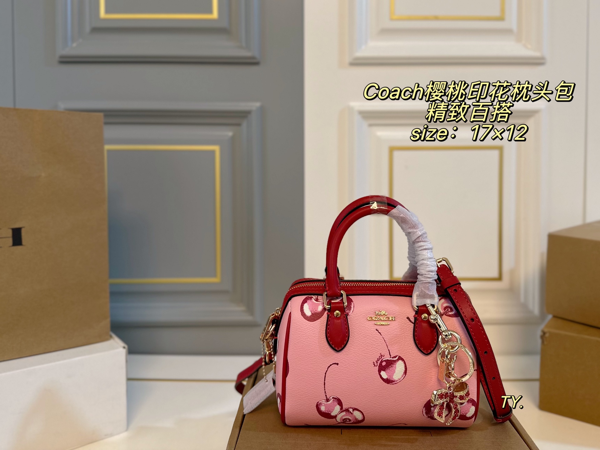 (Caja de avión) Tamaño: 17×12 Nuevo bolso de almohada de Boston con estampado de cerezas de COACH蔻驰❤️ Estampado de cere…