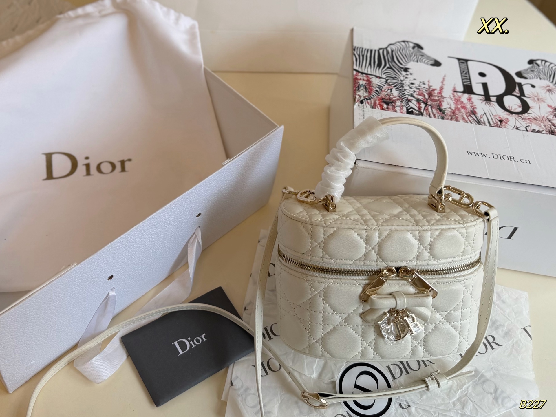 Dior Vanity White crossbody everyday