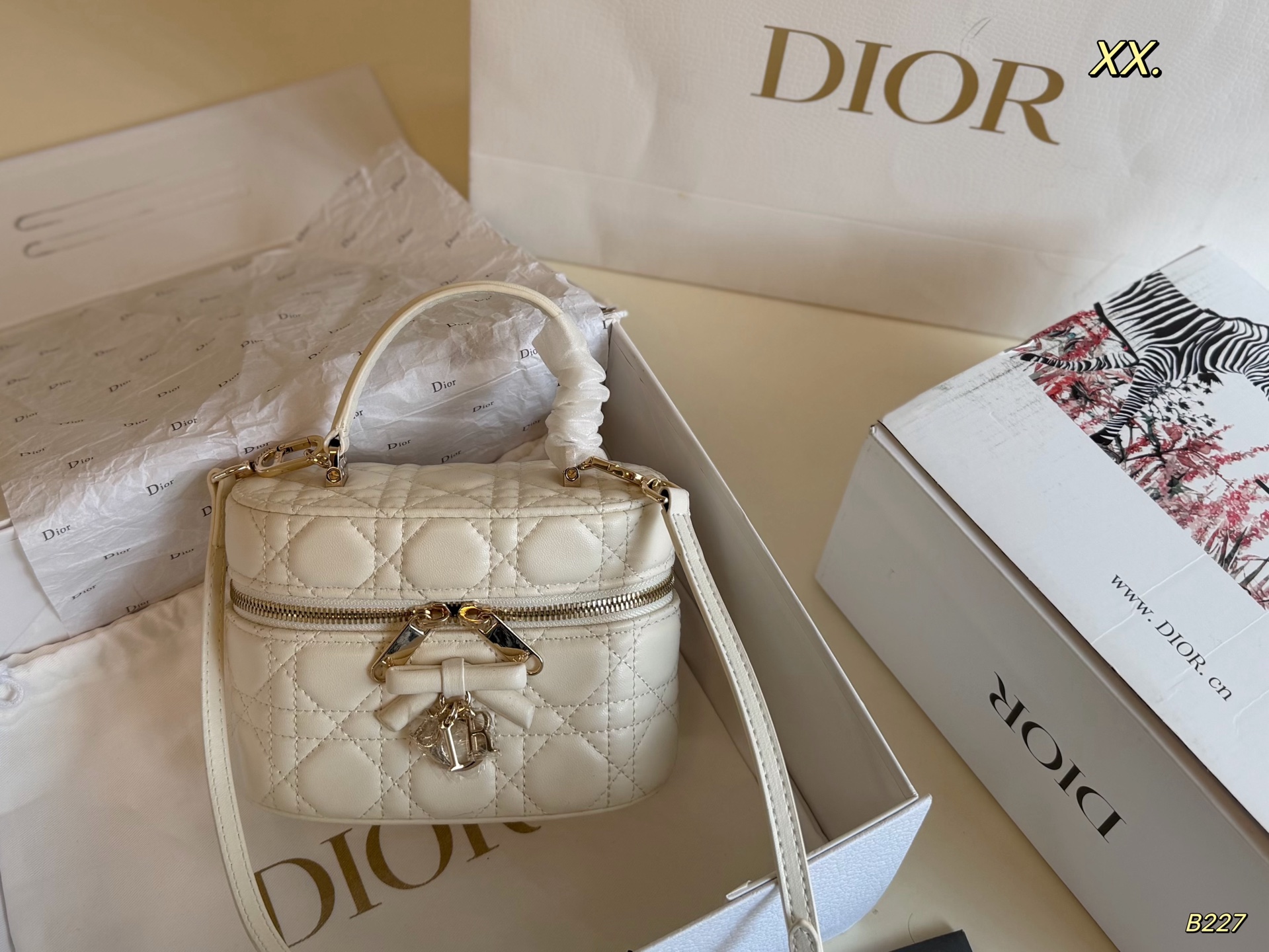 Dior Vanity White crossbody everyday