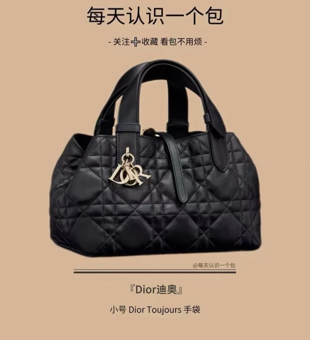 小号模特