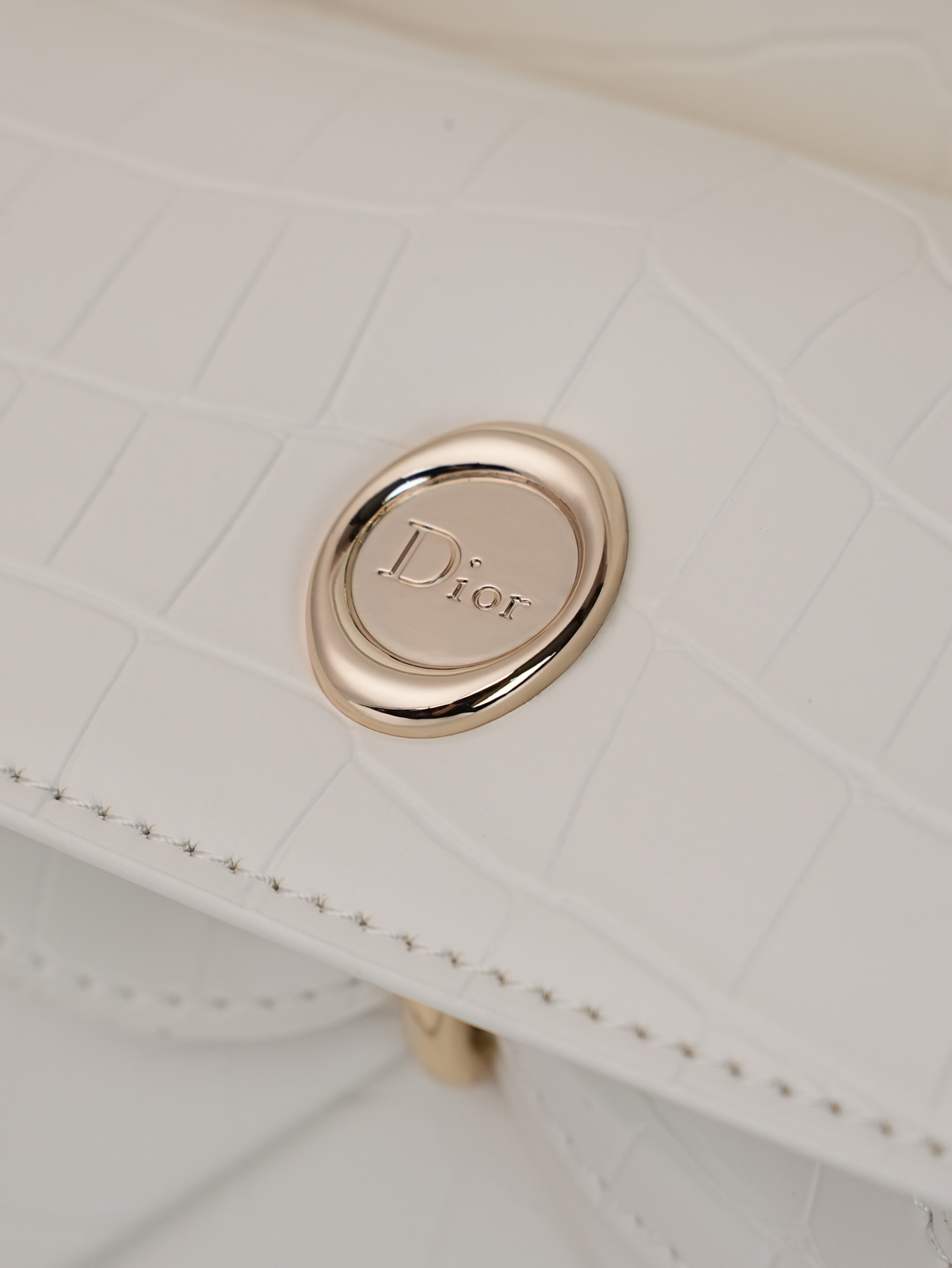 鳄鱼纹 🌾。Dior 02026 春夏秀场,每款新品包都美到犯规。 蝴蝶结手提包 新设计的轮廓与造型,配色丰富, 适配多 鳄鱼纹 🌾。Dior 02026 春夏秀场,每款新品包都美到犯规。 蝴蝶结手提包 新设计的轮廓与造型,配色丰富, 适配多